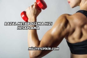 Bazal Metabolizma Hızı Hesaplama