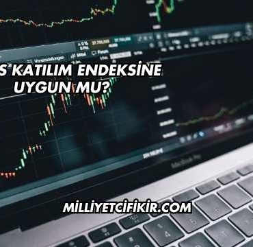 Cates Katılım Endeksine Uygun mu?