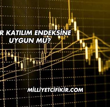 Dmr Katılım Endeksine Uygun mu?