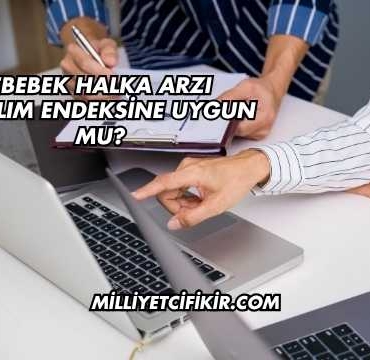 Ebebek Halka Arzı Katılım Endeksine Uygun mu?