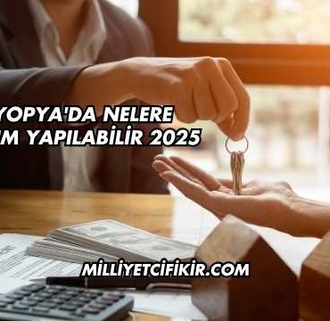 Etiyopya'da Nelere Yatırım Yapılabilir 2025