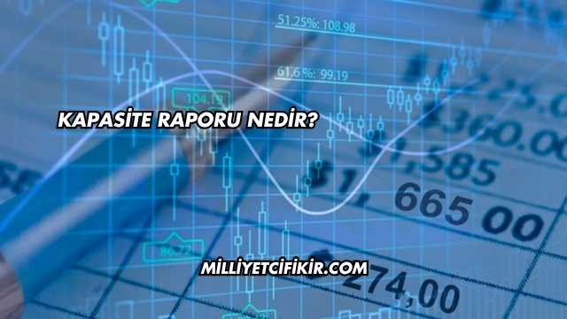 Kapasite Raporu Nedir?