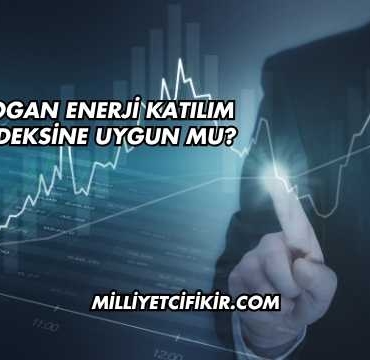 Mogan Enerji Katılım Endeksine Uygun mu?