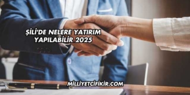 Şili'de Nelere Yatırım Yapılabilir 2025