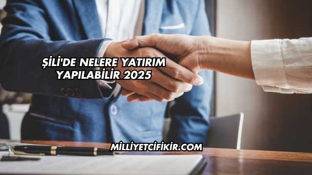 Şili'de Nelere Yatırım Yapılabilir 2025