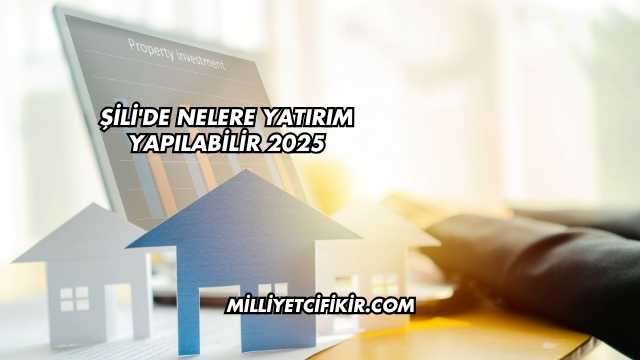 Şili'de Nelere Yatırım Yapılabilir 2025