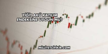 Yiğit Akü Katılım Endeksine Uygun mu?