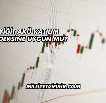 Yiğit Akü Katılım Endeksine Uygun mu?