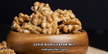 Ceviz Alerji Yapar mı?