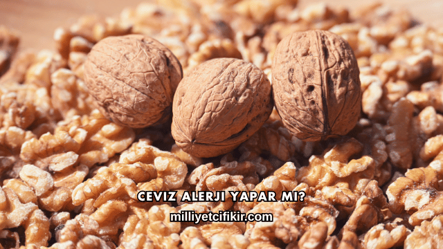 Ceviz Alerji Yapar mı?