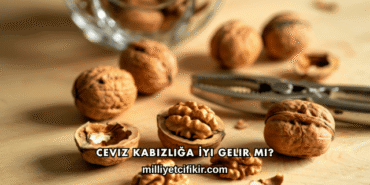 Ceviz Kabızlığa İyi Gelir mi?