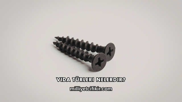 Vida Türleri Nelerdir?