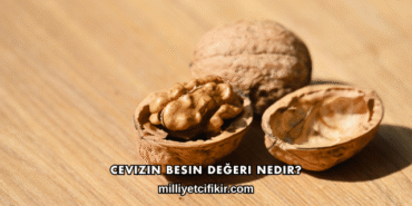 Cevizin Besin Değeri Nedir?