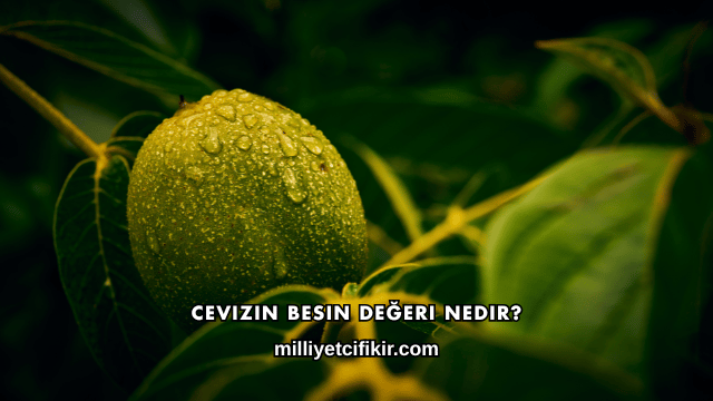 Cevizin Besin Değeri Nedir?