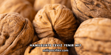 Hamilelikte Ceviz Yenir mi?
