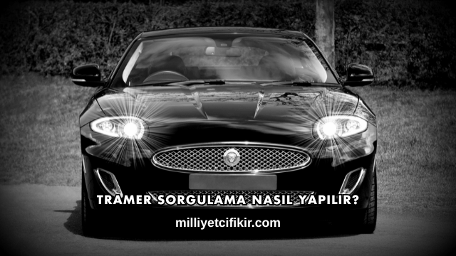 Tramer Sorgulama Nasıl Yapılır?