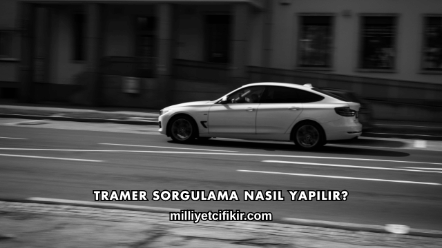 Tramer Sorgulama Nasıl Yapılır?