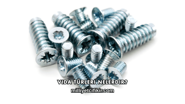 Vida Türleri Nelerdir?