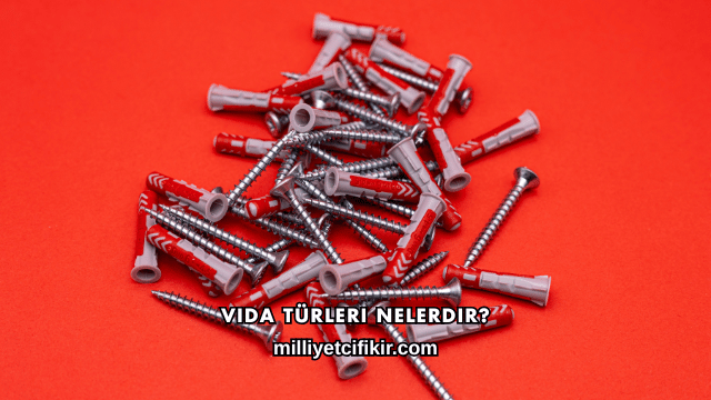 Vida Türleri Nelerdir?